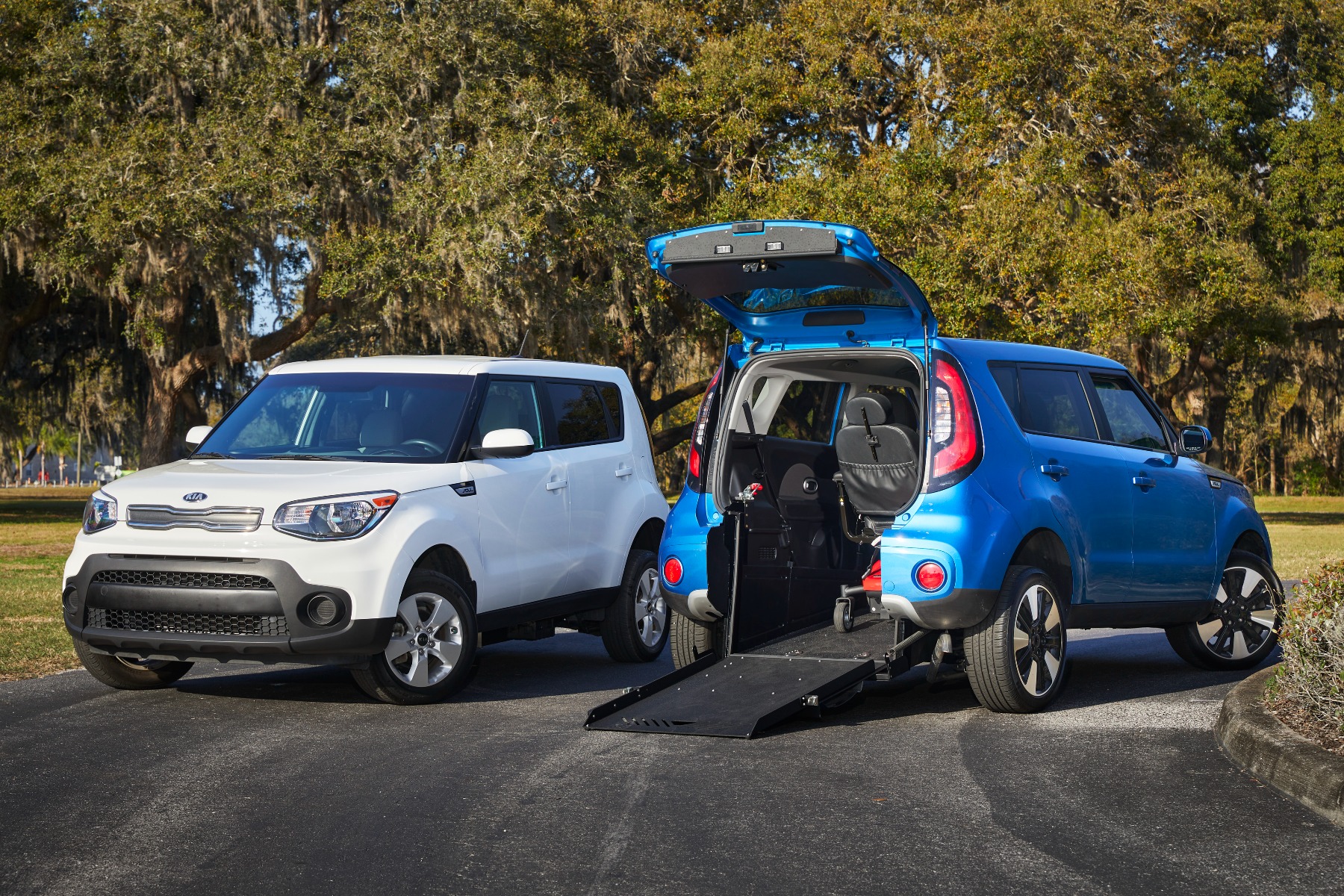 Two Kia Soul SUVs parked with trees in the background